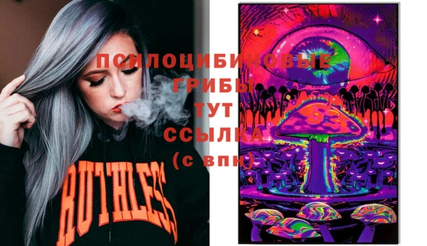 прущие грибы Лагань