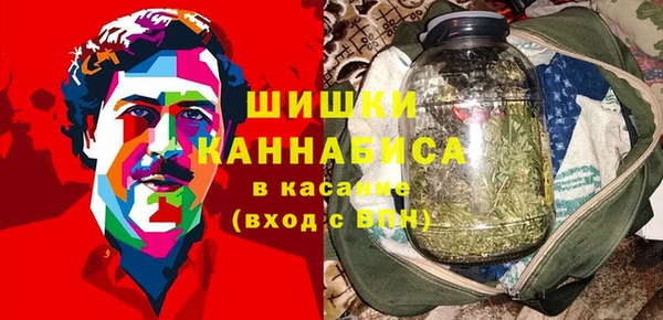гидропоника Алзамай