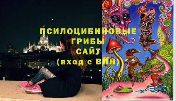 гидропоника Алзамай