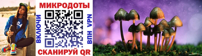 Псилоцибиновые грибы Psilocybe  Островной 